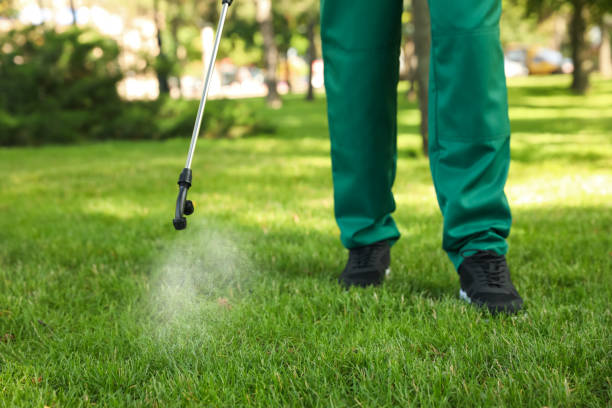 Best Termite Control Services  in King City, OR