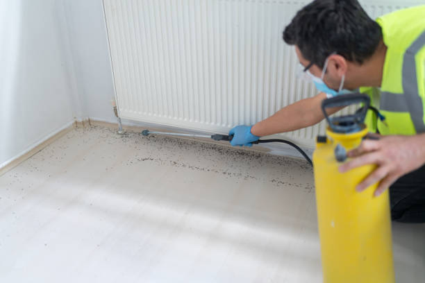 Best Emergency Pest Control  in King City, OR